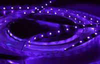 LED ����� ��